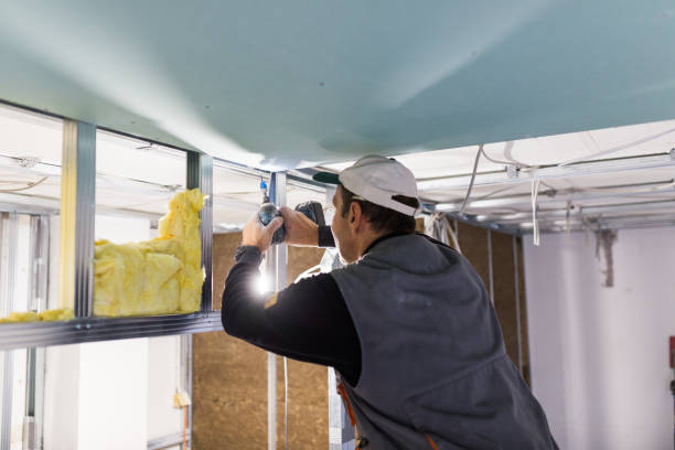 Best Residential Insulation in Schulenburg, TX