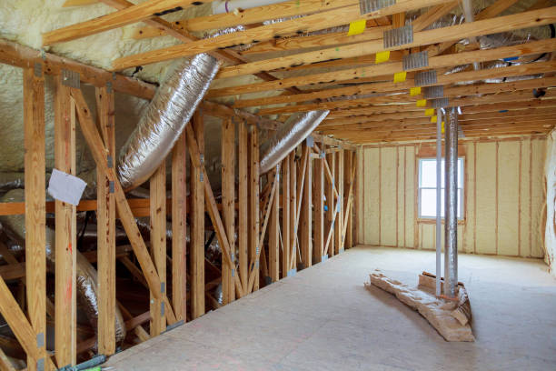 Best Cellulose Insulation in Schulenburg, TX