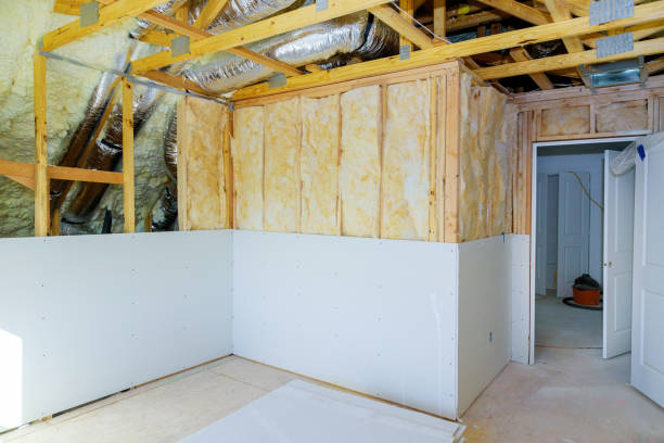 Best Spray Foam Insulation in Schulenburg, TX